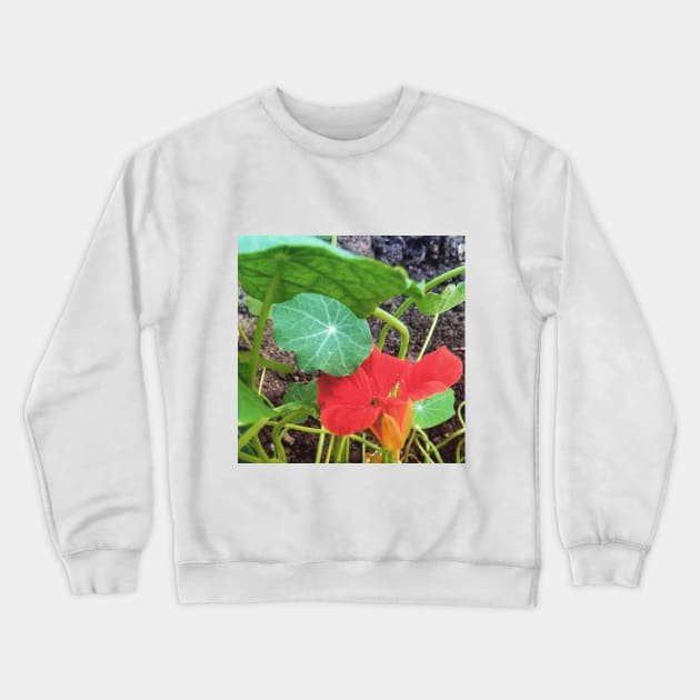 Nasturtium Empress of India Crewneck Sweatshirt by Hajarsdeco